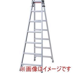 RAX 21 D ハセガワ ハシゴ兼用脚立 10576