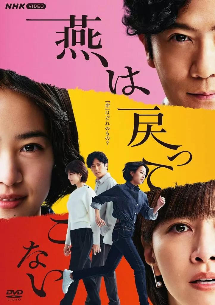 TVドラマDVD 燕は戻ってこない