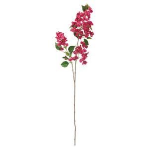 ASCA アスカ ブーゲンビリア 70 A 35136 022 入数 6