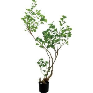 ポピー Popy 造花 グリーン 人工樹木 125 cmフィカストライアンギュラス GLP-1578 GR