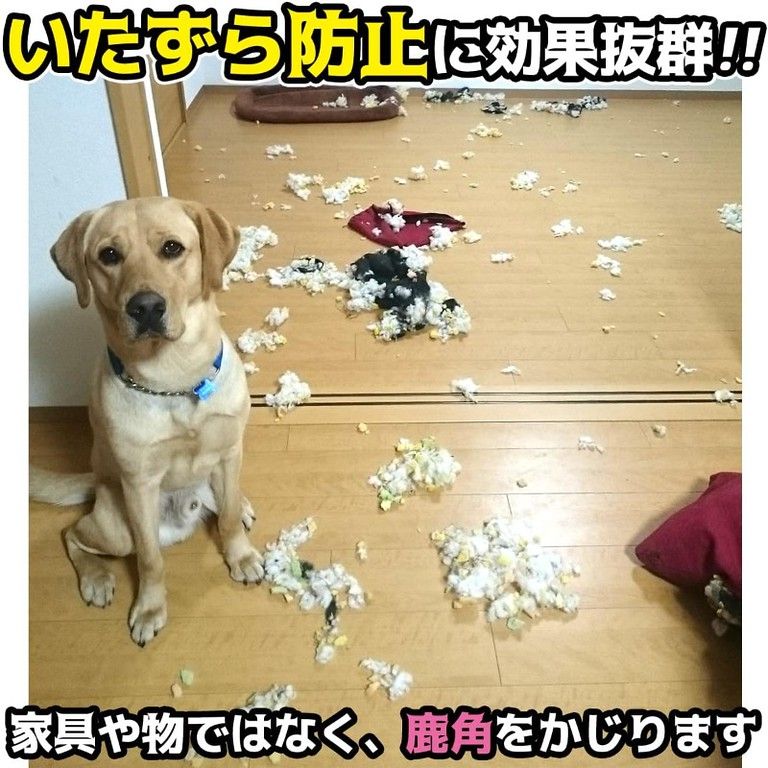 産 無添加 鹿の角 犬用おもちゃ 20 cm 大型犬 デンタルケア チューイングボーン 天然鹿角 歯磨き効果 全犬種対応 噛み癖対策 ストレス解消 子犬 成犬