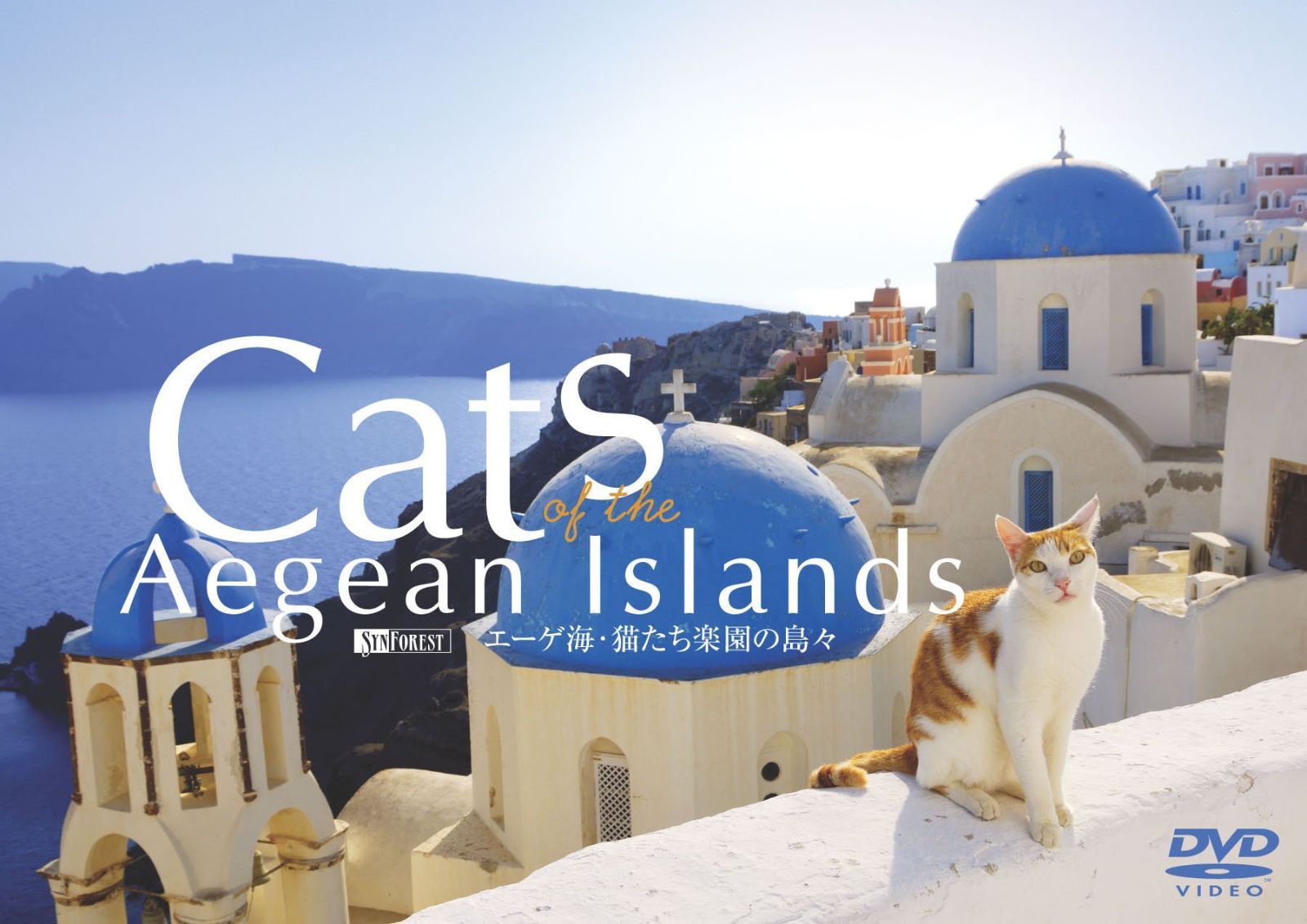 シンフォレストDVD エーゲ海・猫たち楽園の島々 Cats of the Aegean