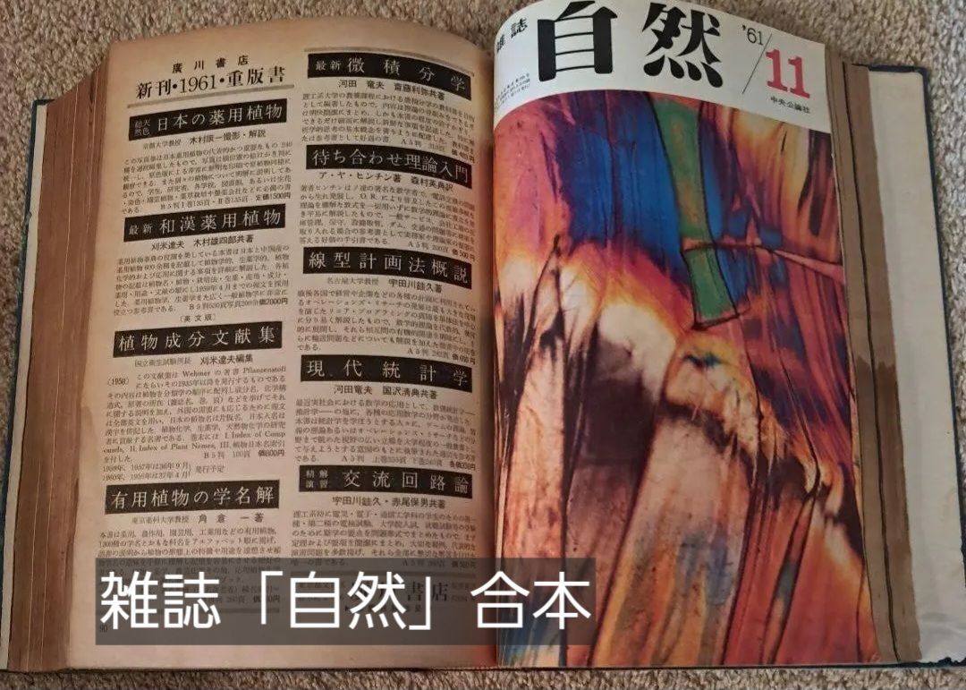定番，最新作 科学雑誌「自然」　1961年1～12 月12冊　合本　古書　希少 科学・工学