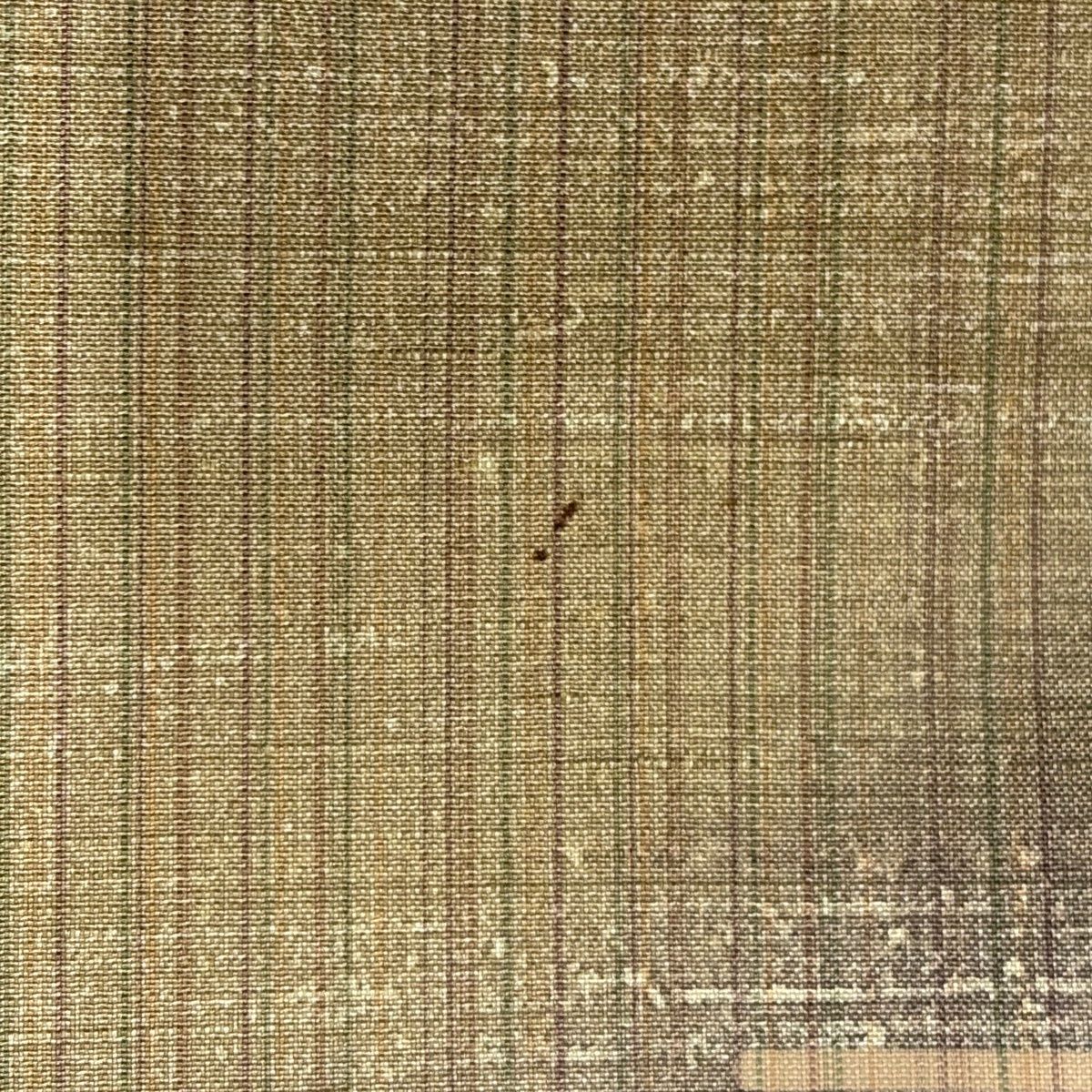 付下げ 身丈164cm 裄丈64cm M 袷 紬地 縞 草花 ぼかし 薄茶色 正絹