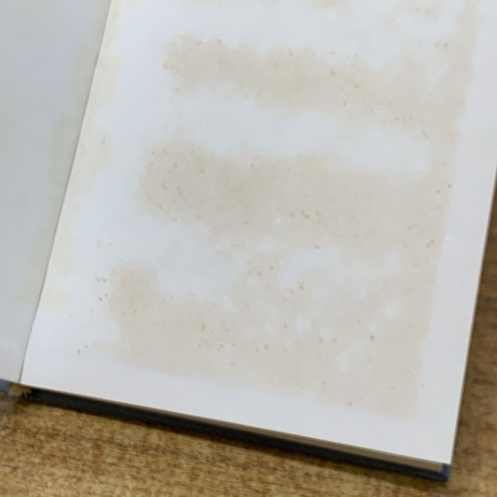 △01)【1点限り!】【洋書】レニズダート出版の本 まとめ売り約20冊