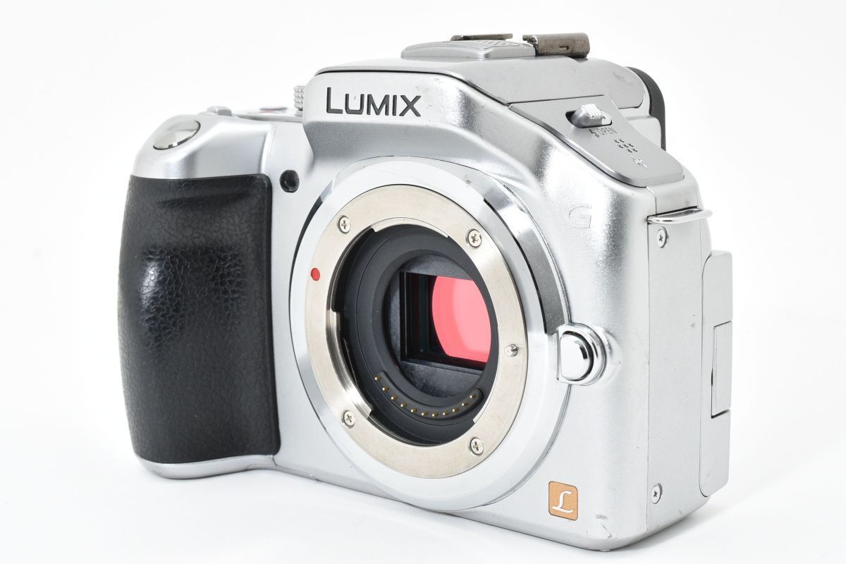 ショット数2824回 Panasonic LUMIX DMC G 5 シルバー 充電器付き AYM 4705 16