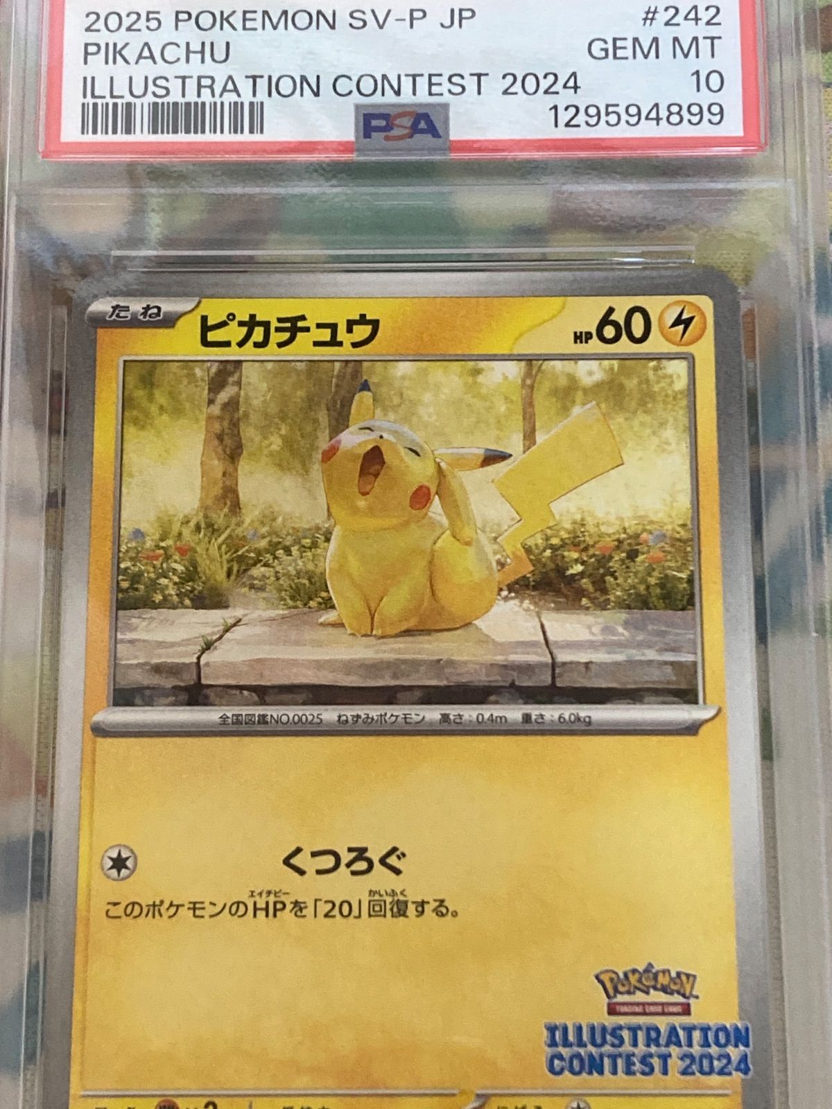 PSA10】 ピカチュウ イラストレーションコンテスト2024 プロモ - メルカリ