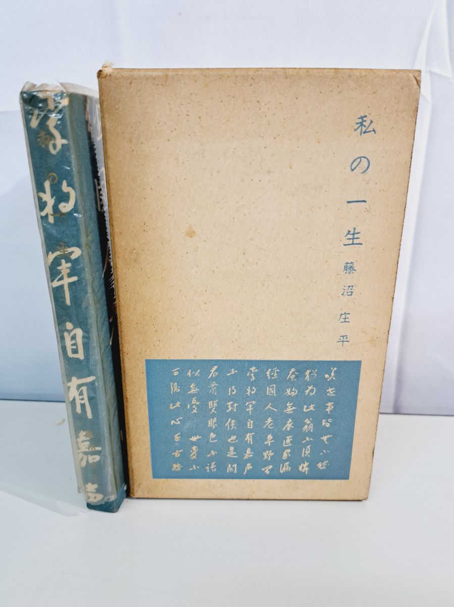 私の一生 藤沼庄平