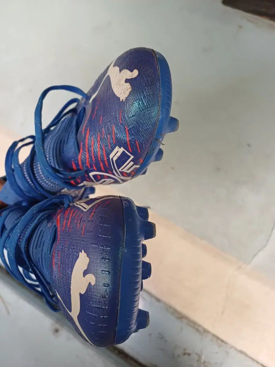 PUMA フューチャーz mg 265