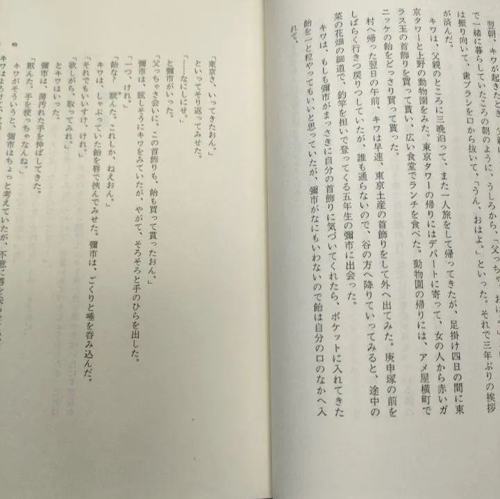 【帯付き】 木馬の騎手 三浦哲郎 新潮社 函付き 昭和54年