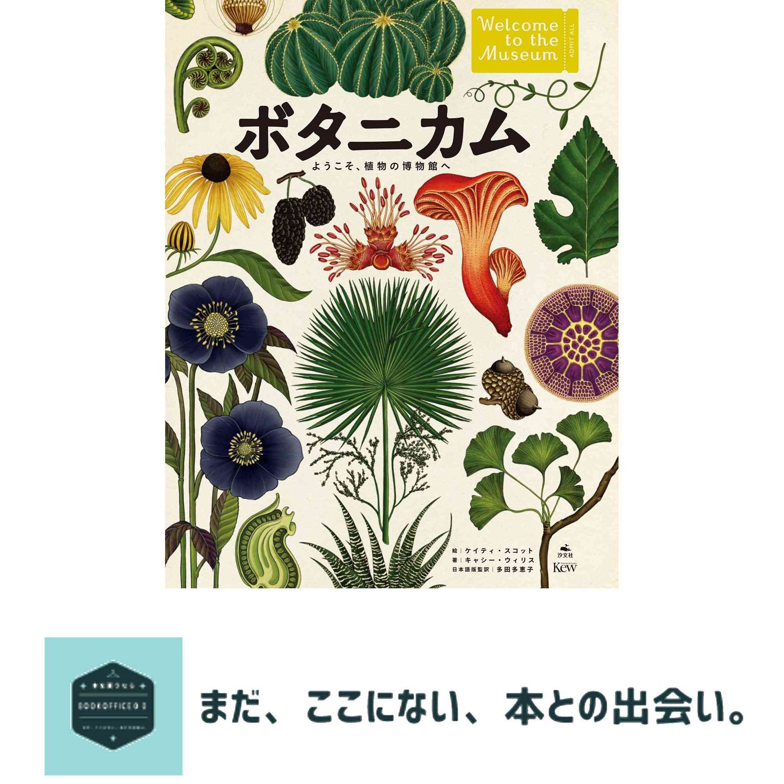 ボタニカム ようこそ 植物の博物館へ キャシー ウィリス 多田多恵子 ケイティー スコット