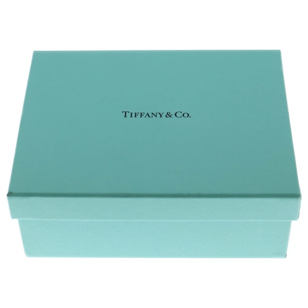  TIFFANY Co ティファニー HardWear Large 14 LINK ハードウェア ラージ チェーンブレスレット シルバー ブレスレット アクセサリー