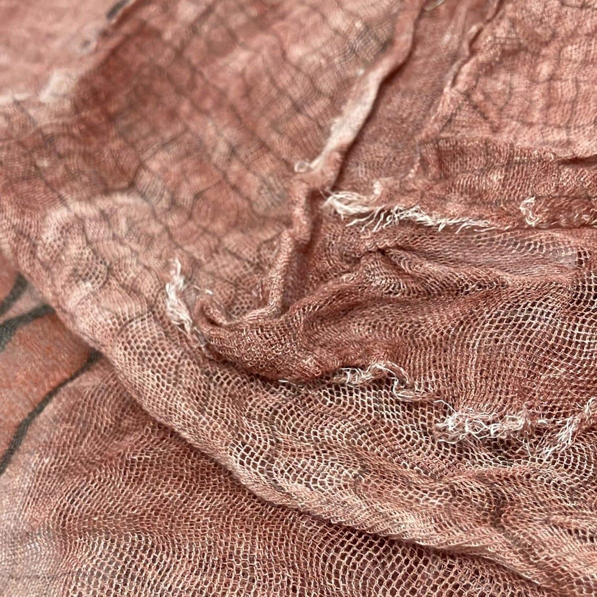 Falierosarti ファリエロサルティ