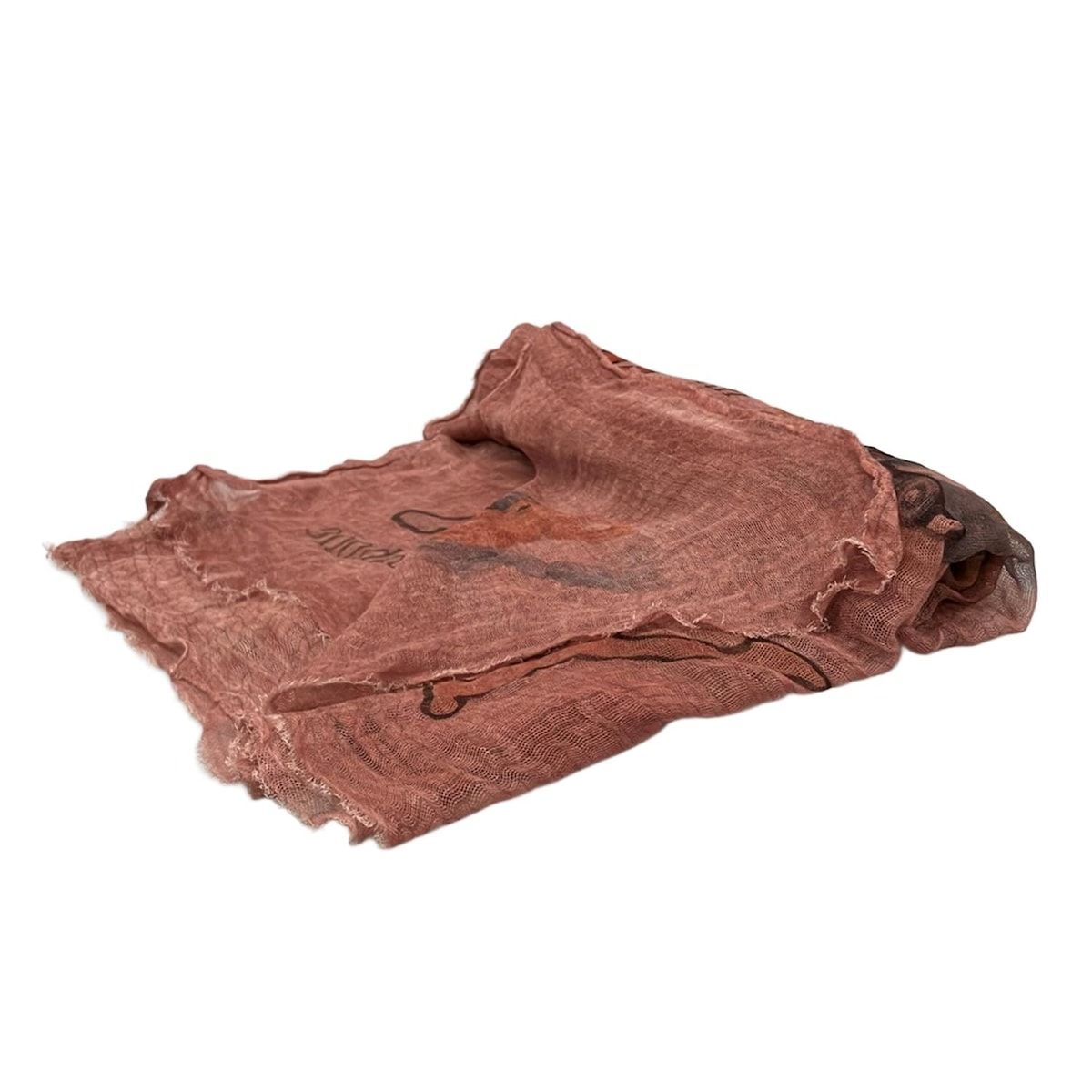 ファリエロサルティ