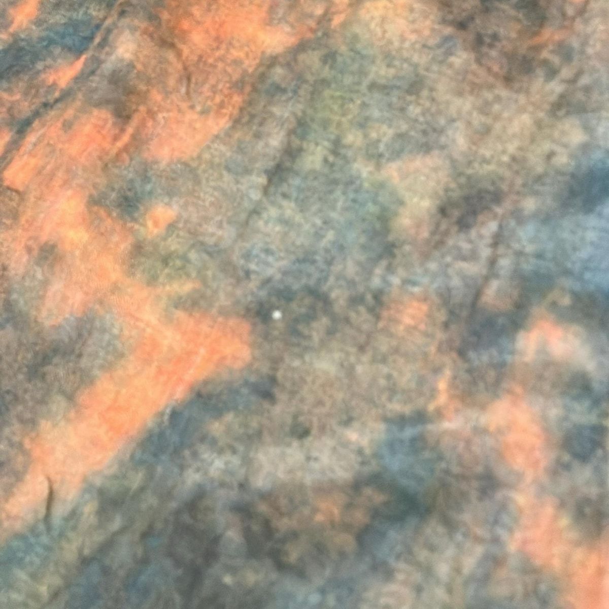 Falierosarti ファリエロサルティ