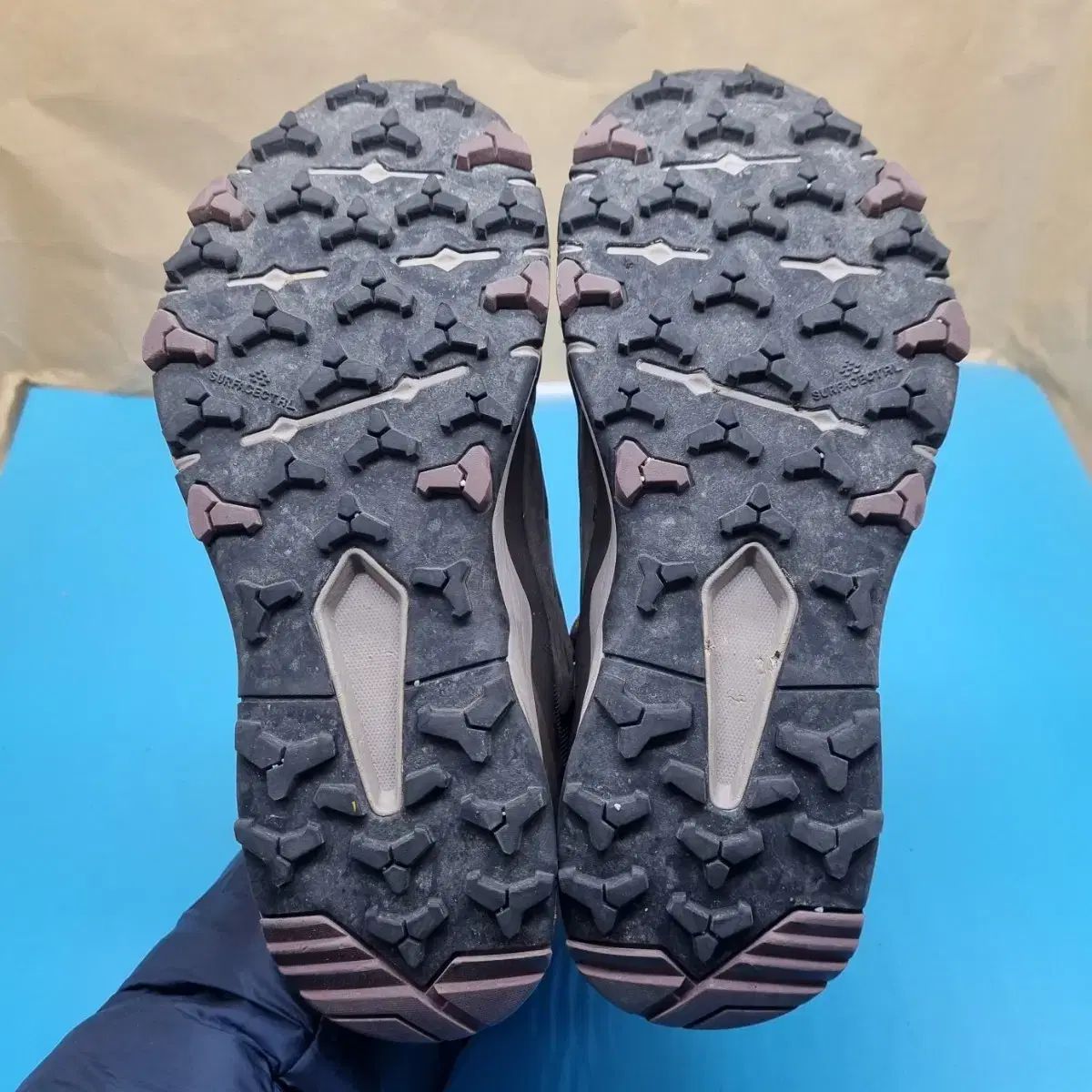 벡티브 익스플로리스