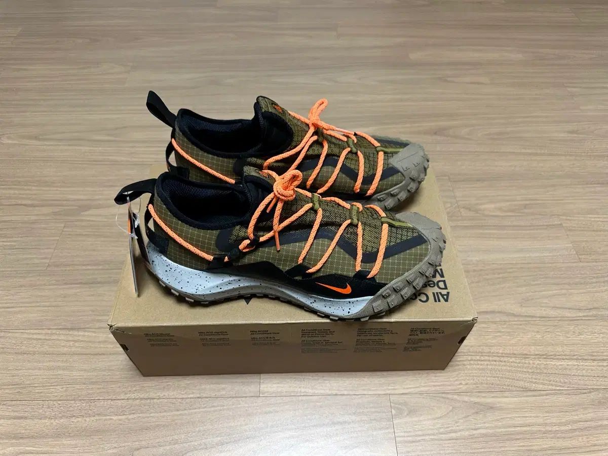 ヘイゼル ラッシュ