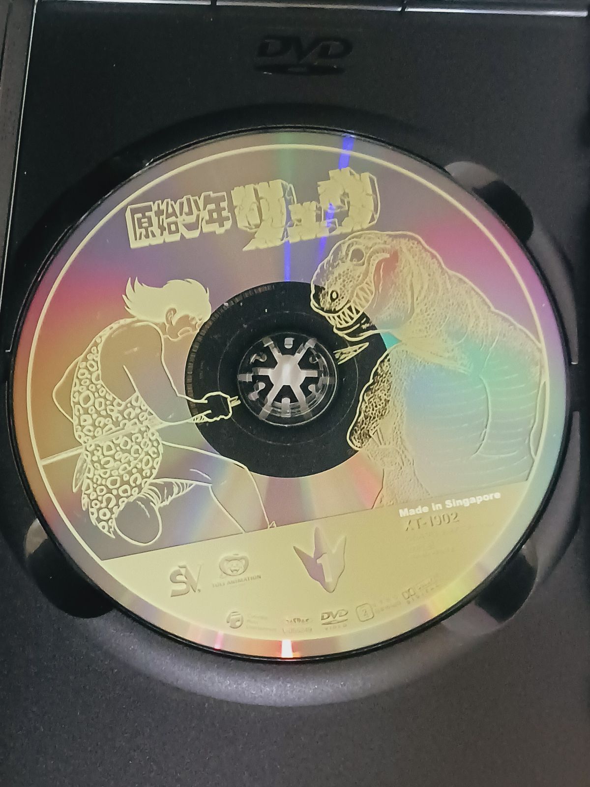 DVD-BOX 原始少年リュウ 全巻 石ノ森章太郎 - メルカリ