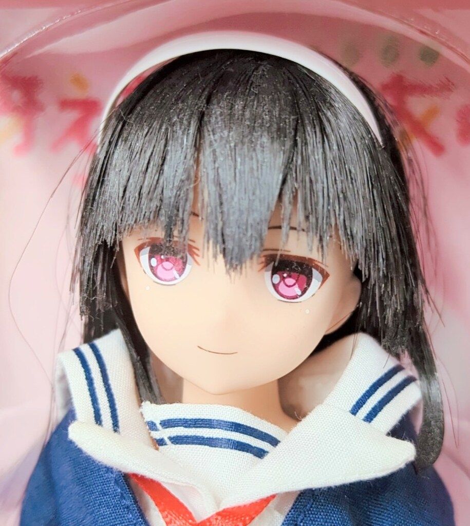 アゾン ピュアニーモキャラクターシリーズ 冴えない彼女の育てかた 霞ヶ丘詩羽