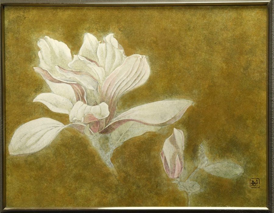 蔵A 2614 b 森英明 木蓮 ６号 共シール