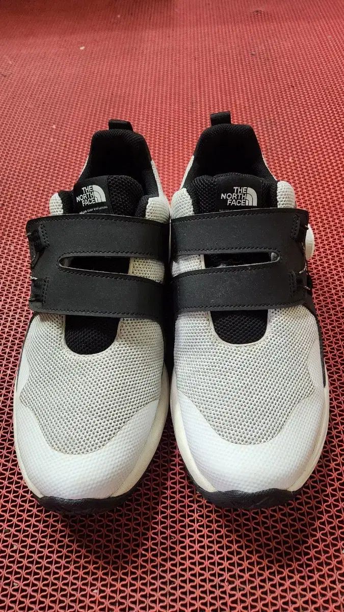 THE NORTH FACE スピードPLUS BoA 260