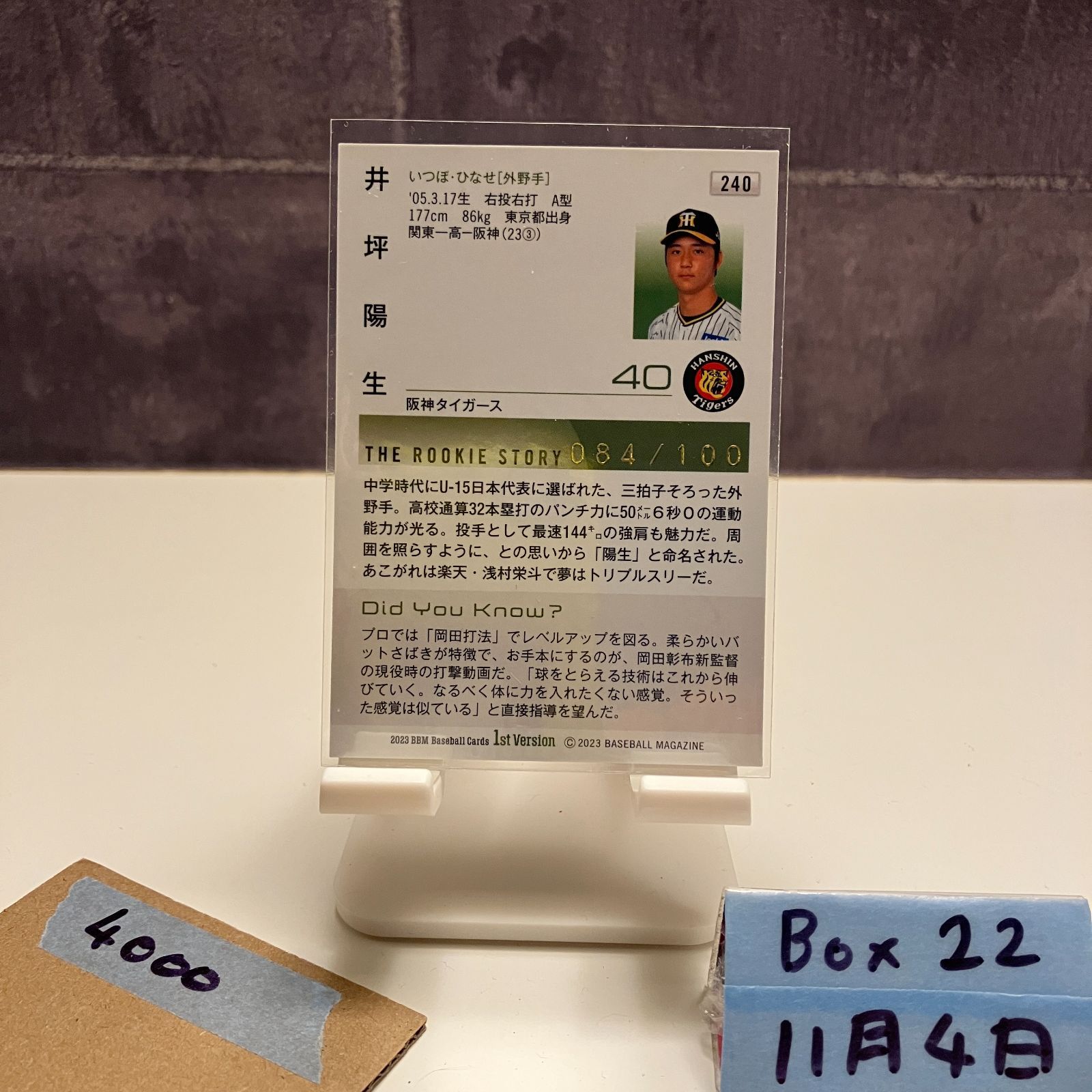 2023 BBM 1st Version 井坪陽生 084/100 金箔サイン 阪神タイガース RC