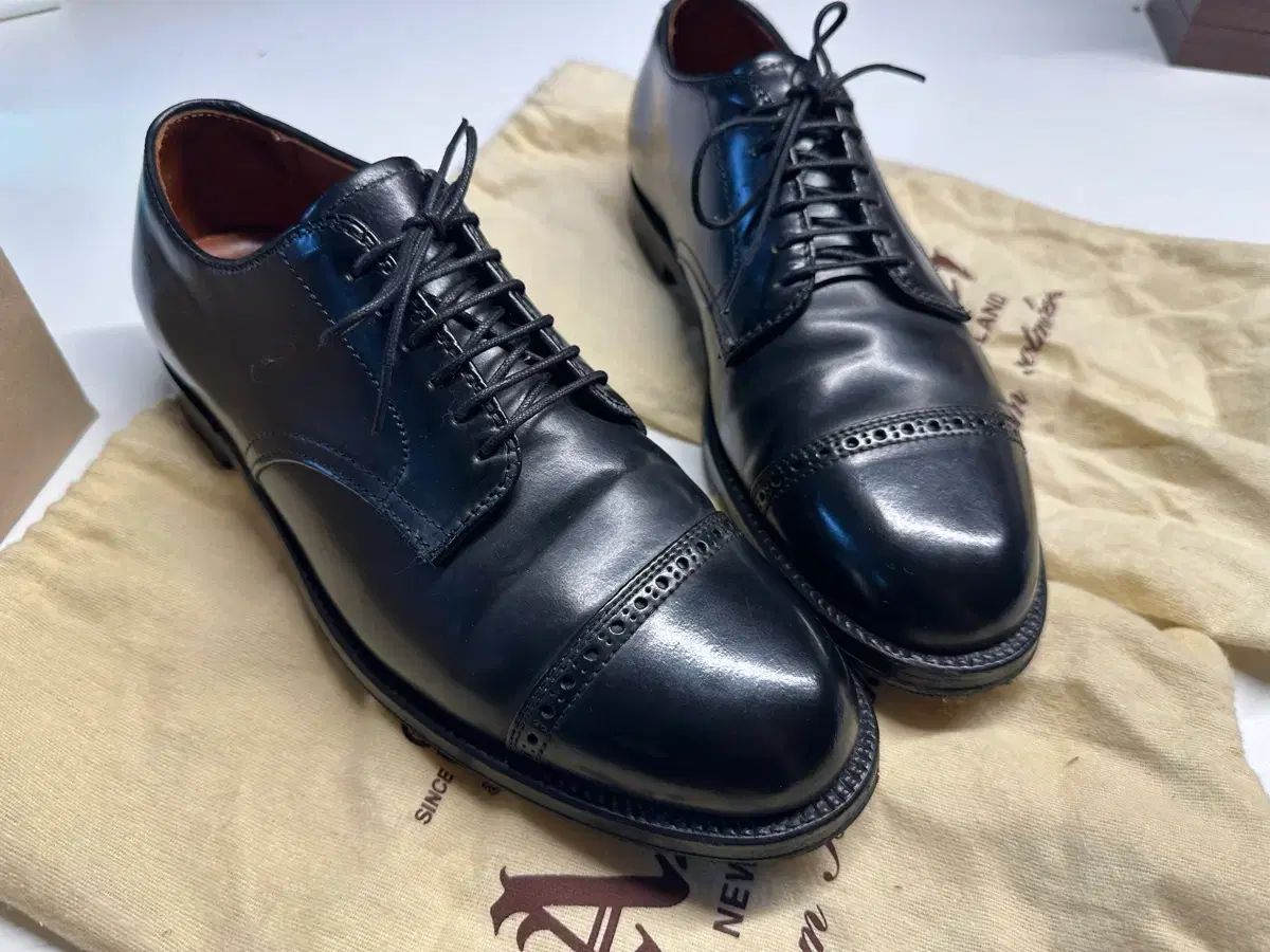 ALDEN A 7503 コードバン