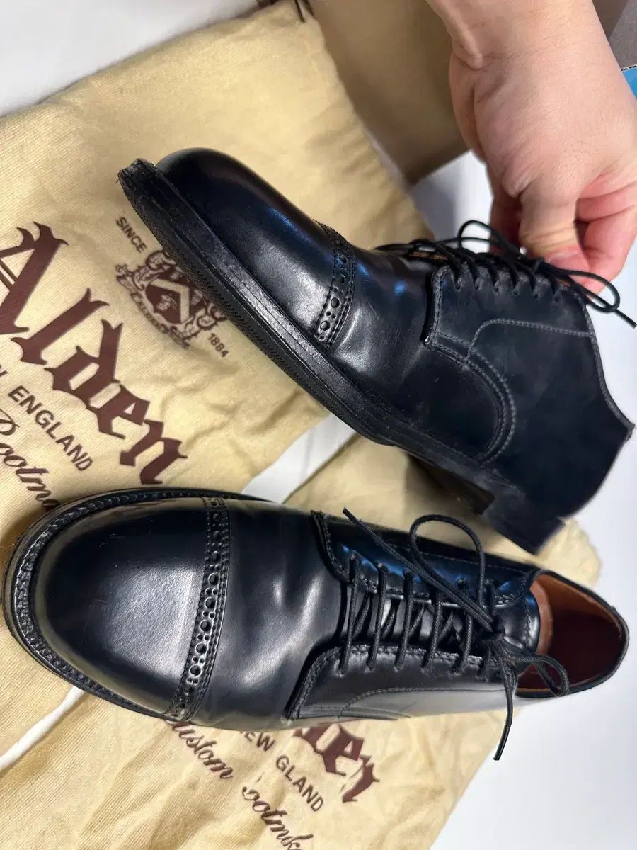 ALDEN A 7503 コードバン