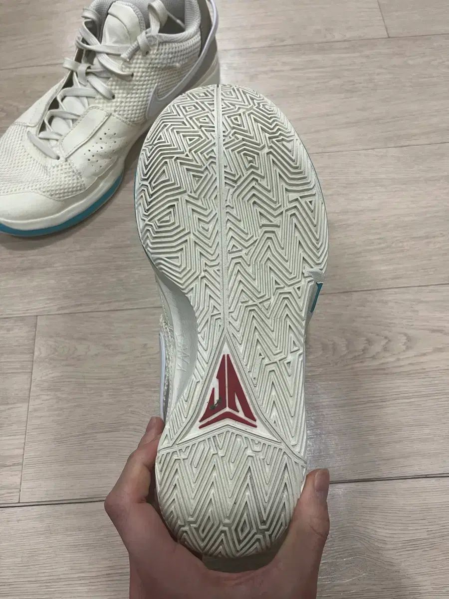 ザモラント1 バスケシューズ ココナッツミルク 265