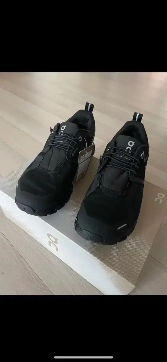 オン ランニング クラウド 5 サイズ 240