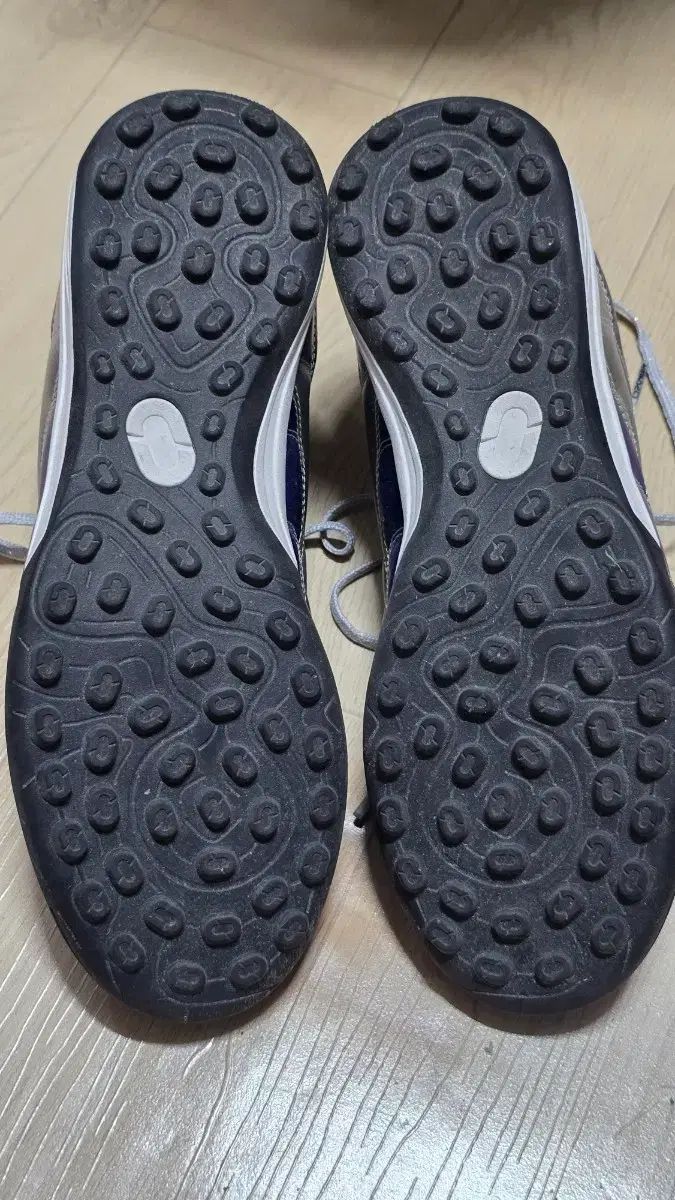 パワーマーク2 r 9 tf 250です