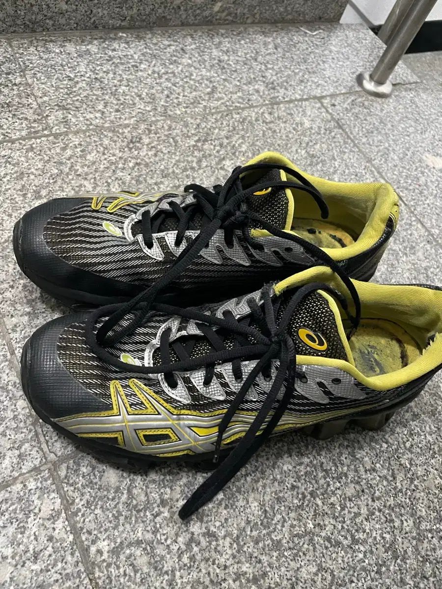 キココスタディノフ アシックス ゲルクォンタム