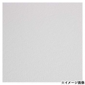 ファブリアーノ アルティスティコ エキストラホワイト 水彩紙 細目 FXBH 30 5 45