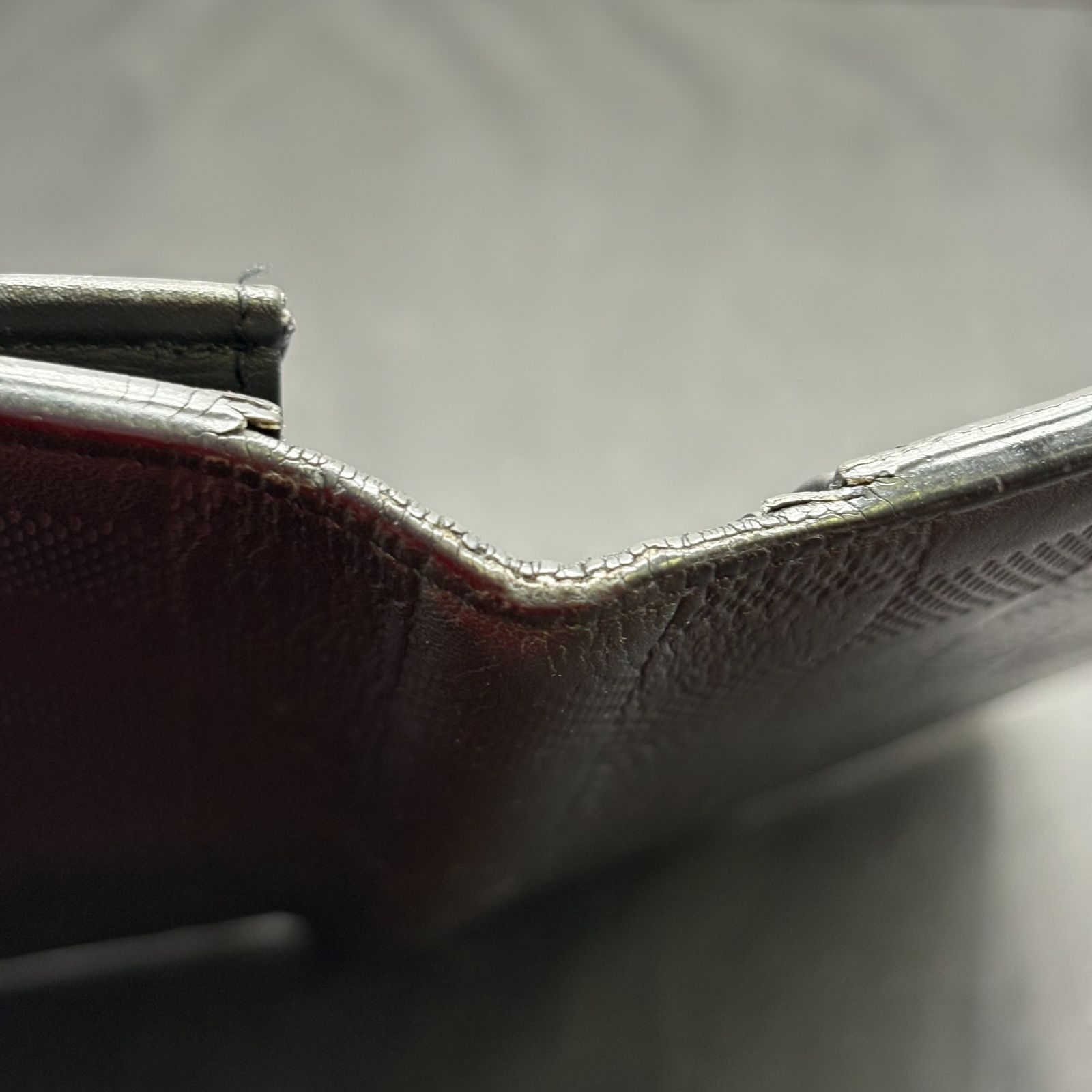 ダミエアンフィニ ブラザ