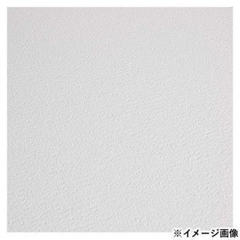ファブリアーノ アルティスティコ エキストラホワイト 水彩紙 中目 FXB 23 30 5