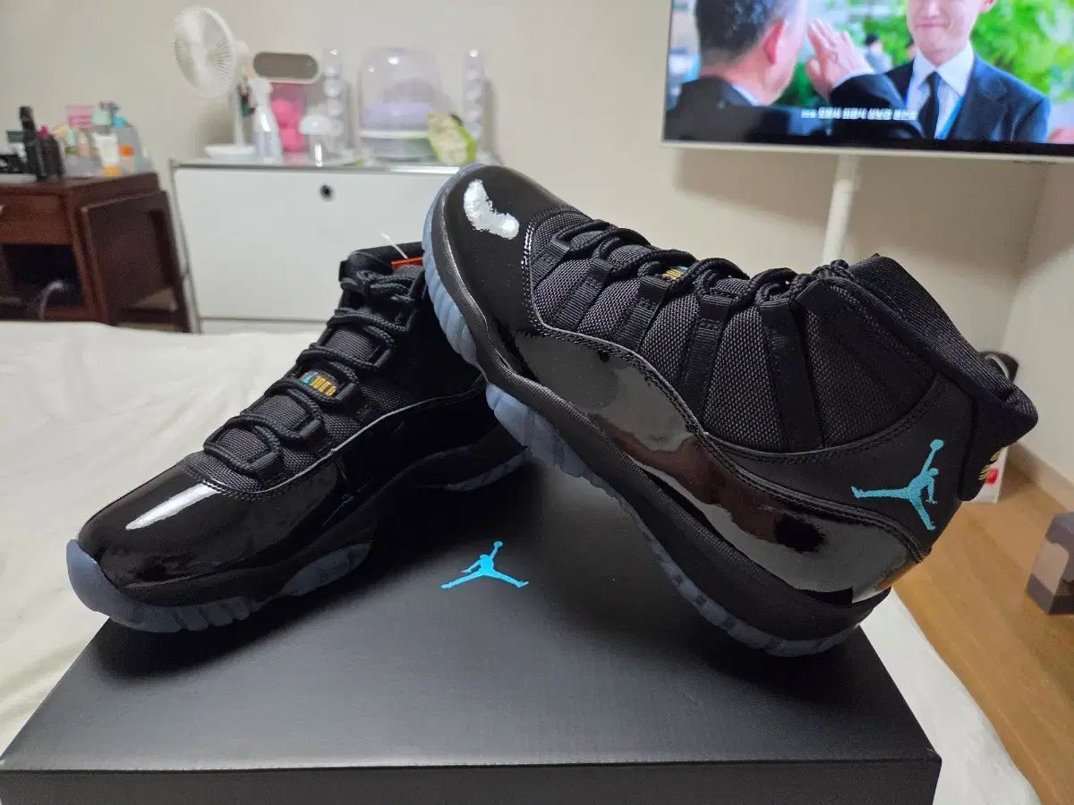 エアジョーダン11 ガンマブルー 275 mm