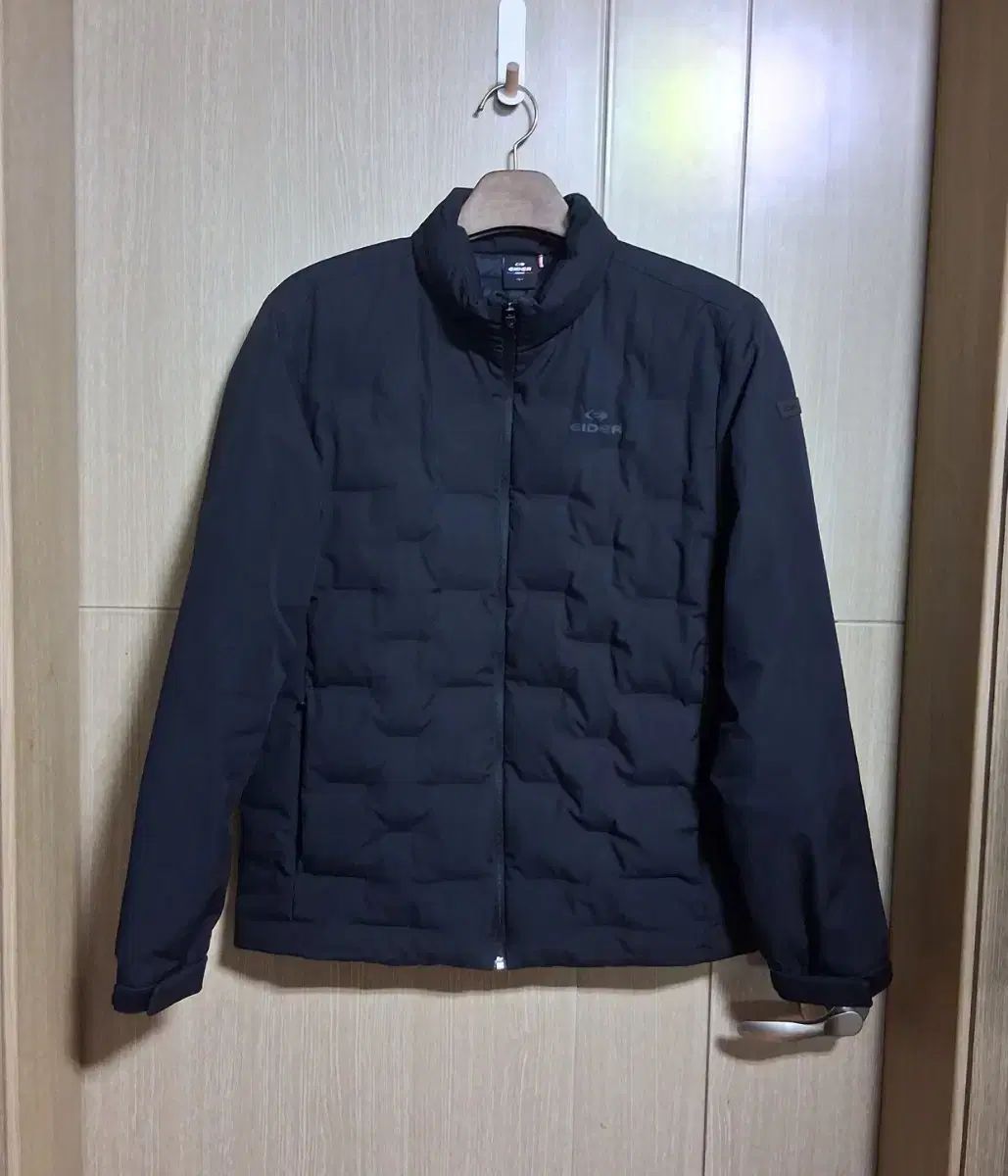 メンズ アイダー ダウン 軽量ダウン 100