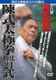 BABジャパン 中国武術DVD 陳式太 拳簡化24式 T D 1117