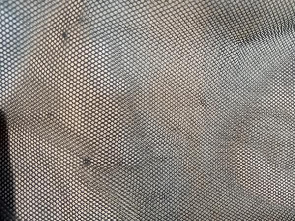 FACE ザノースフェイス