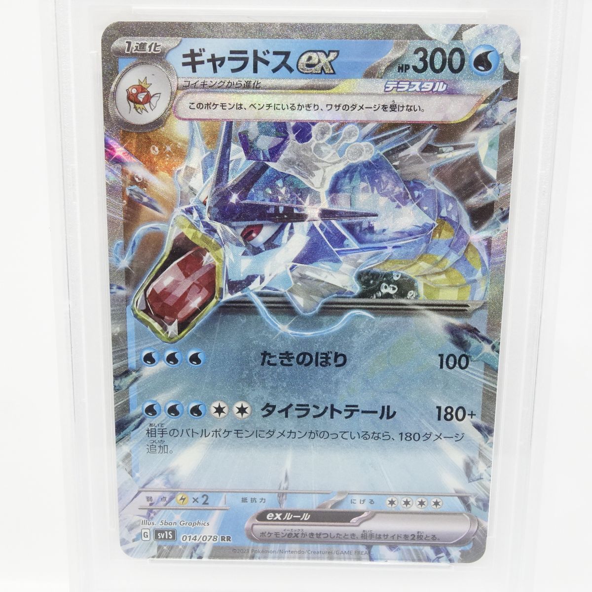 PSA10 Mギャラドス EX ポケモンカード PSA10 Mギャラドス EX ポケモンカード PSA10鑑定済〕MギャラドスEX【RR