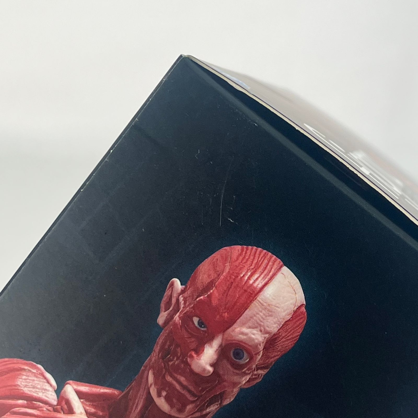figma 人体模型 中古未開封品 - メルカリ