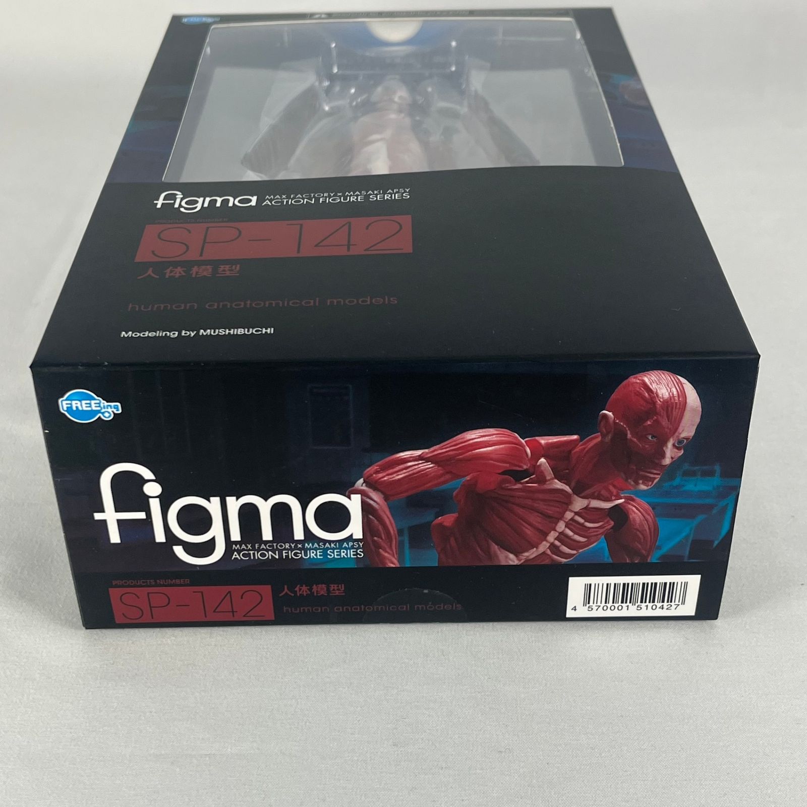 figma 人体模型 中古未開封品 - メルカリ