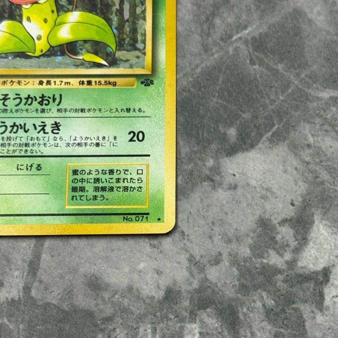 ○旧裏 No.071[☆] ウツボット LV.42 ポケモンカード 十字ホロ 第2弾