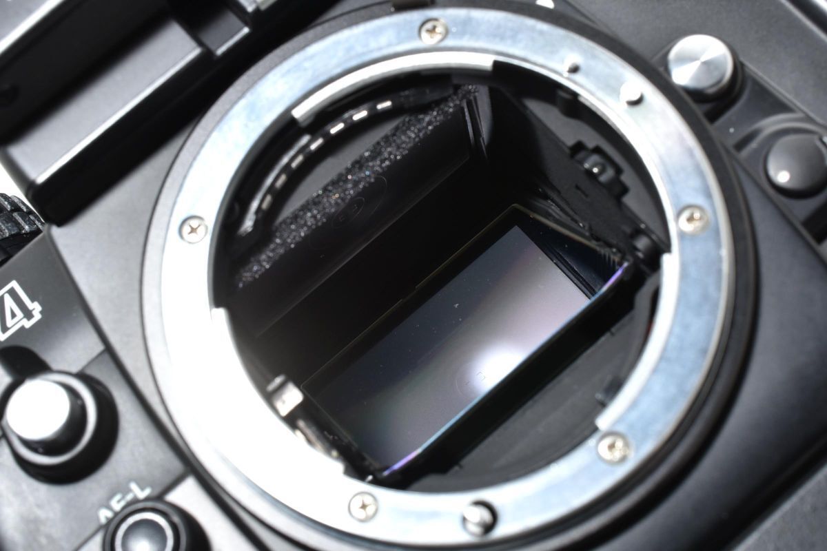 美品 Nikon F4S + MF-22 データバック LL5068#44 - メルカリ