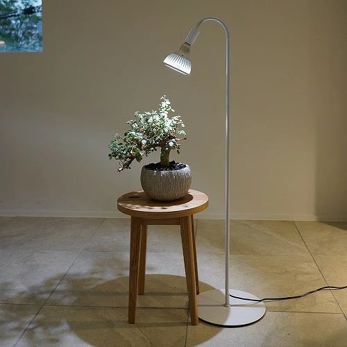 BARREL バレル ライトスタンド BA ST 184 WH フレキシブルアームライトスタンド ホワイト 植物育成 LEDライト アクアリウム BALEEL 1936861