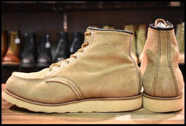 アイリッシュセッター