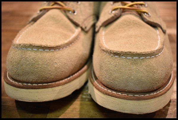 スエード アイリッシュセッター