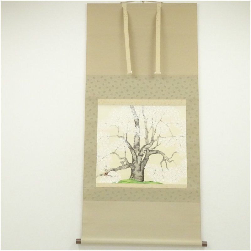 轡田白兎筆 桜樹 肉筆絹本掛軸（共箱） 掛け軸 床の間 書 おしゃれ