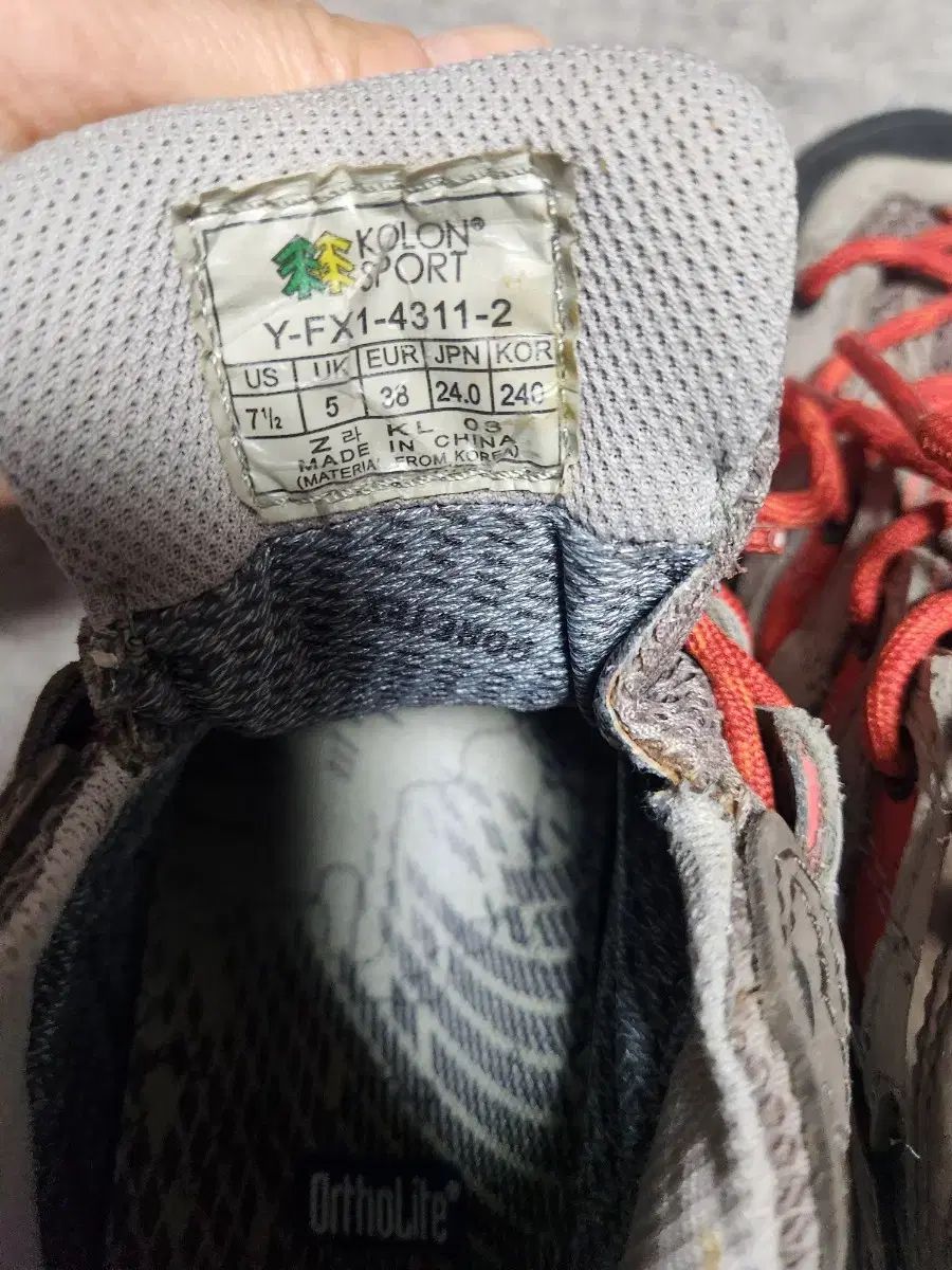 トレッキングシューズ 240