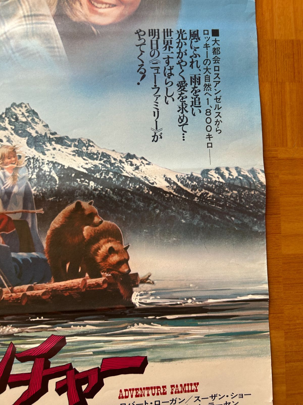 アドベンチャーファミリー The Adventure of the Wilderness Family